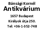 Printer 52