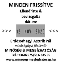 Printer Q 43 Dátumbélyegző